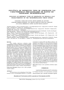 INFLUÊNCIA DE DIFERENTES TIPOS DE SUBSTRATOS NAS