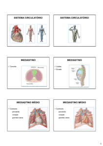 1 sistema circulatório sistema circulatório mediastino - IBB