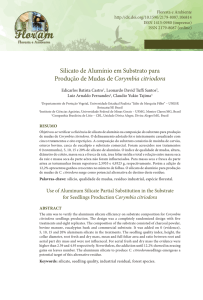 Silicato de Alumínio em Substrato para Produção de