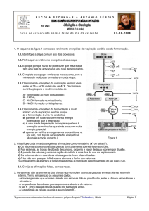 Ficha de preparação para o teste escrito do próximo dia 5 de Junho