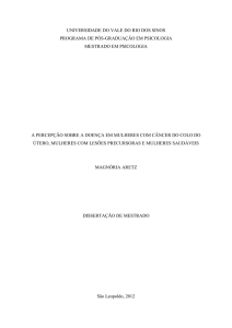 universidade do vale do rio dos sinos programa de pós