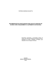 recomendação de fertilizantes para violeta africana de acordo com