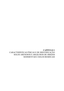 CAPITULO 1 CARACTERÍSTICAS FÍSICAS E DE IDENTIFICAÇÃO