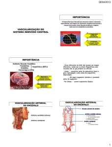 vascularização do sistema nervoso central - IBB