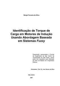 Identificação de Torque de Carga em Motores de