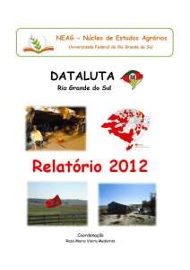 Relatório Rio Grande do Sul - 2012