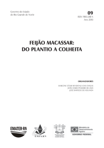 09 Feijão macassar - do plantio a colheita