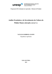 Análise Econômica e de Investimento da Cultura do Pinhão Manso