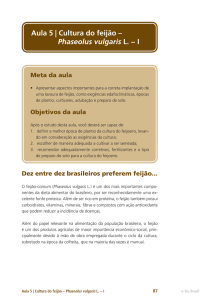 Aula 5 | Cultura do feijão – Phaseolus vulgaris L. − I