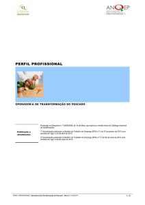Perfil - Catálogo Nacional de Qualificações