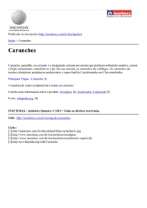 Carunchos - Insetimax