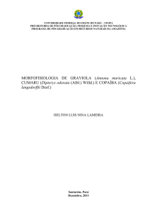 Morfofisiologia de graviola, cumaru e copaíba