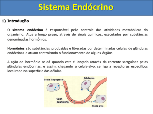 Sistema Endócrino - Pré