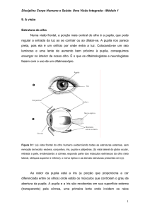 Disciplina Corpo Humano e Saúde: Uma Visão