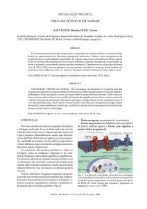 divulgação técnica vírus oncogênicos em animais
