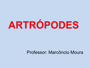 Professor: Marcôncio Moura