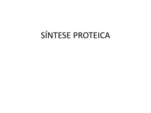 Sintese Proteica