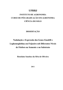 nodulação e expressão dos genes enod40 e