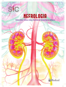 nefrologia - Sistema de Controle de Matrículas