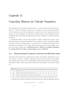 Capítulo 11 Conceitos Básicos de Cálculo Numérico