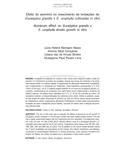 Efeito do alumínio no crescimento de brotações de Eucalyptus