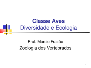 Classe Aves Diversidade e Ecologia
