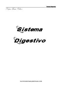 Sistema Digestivo