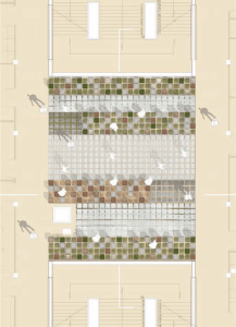 Das terminologias às construções recorrentes: um percurso de