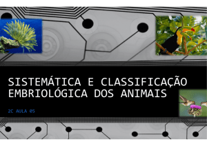 sistemática e classificação embriológica dos animais aula 05