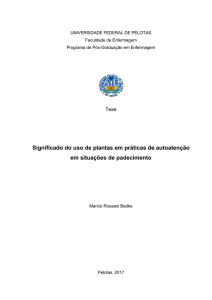 Significado do uso de plantas em práticas de autoatenção em