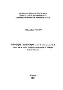 Dissertacao completa - Pró-Reitoria de Pesquisa e Pós