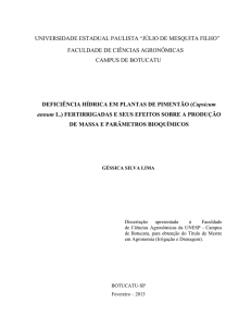 DEFICIÊNCIA HÍDRICA EM PLANTAS DE PIMENTÃO (Capsicum