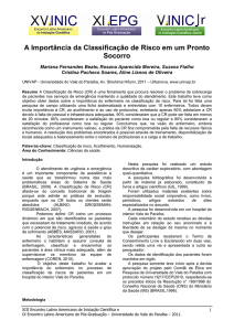 A Importância da Classificação de Risco em um