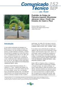 Podridão do Estipe da Palmeira-imperial (Roystonea oleracea (Jacq