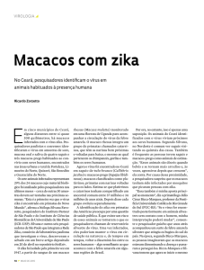 Macacos com zika - Revista Pesquisa Fapesp