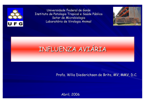 Influenza A