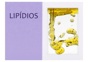 Lipidios - Maximo Vestibulares
