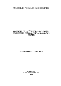 controle de patógenos associados às sementes de canola, cártamo