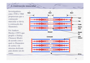 AULA 4 Músculo Esquelético Biofísica Molecular - Moodle