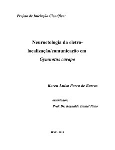 Neuroetologia da eletro- localização/comunicação em - IFSC
