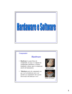 Hardware e Software