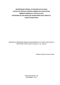 Dissertação Microbiologia Adailson Feitoza