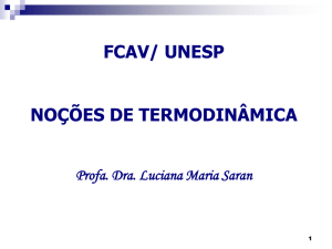 + NO 2 - FCAV Unesp