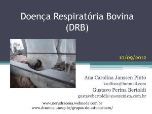 Doença Respiratória Bovina (DRB)