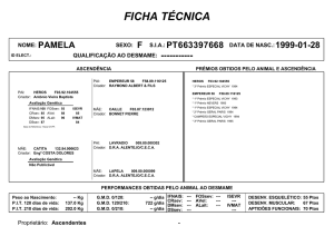 Ficha Técnica