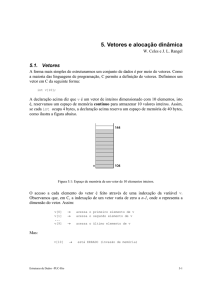 Vetores e alocação dinâmica - IC