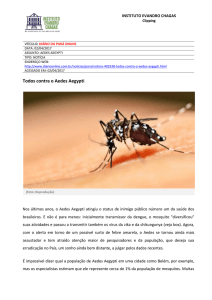 Todos contra o Aedes Aegypti