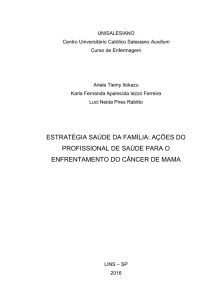 estratégia saúde da família: ações do profissional