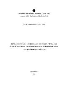 universidade federal de uberlândia