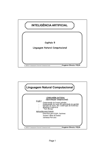 Linguagem Natural Computacional